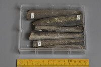 F 02457
<br/>
<br/>
<em></em>